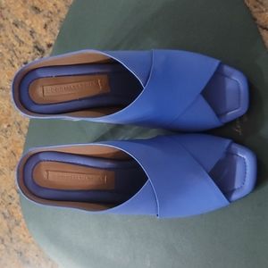 Beautiful Trendy Layered Blue Heels with Clear Heel